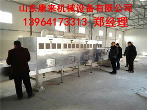 微波葡萄干殺菌設(shè)備 技術(shù)原理、優(yōu)勢與專業(yè)服務(wù)解析